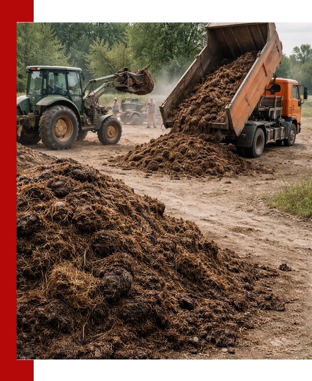 Доставка навоза самосвалами в Партизанске для сельхозпотребностей