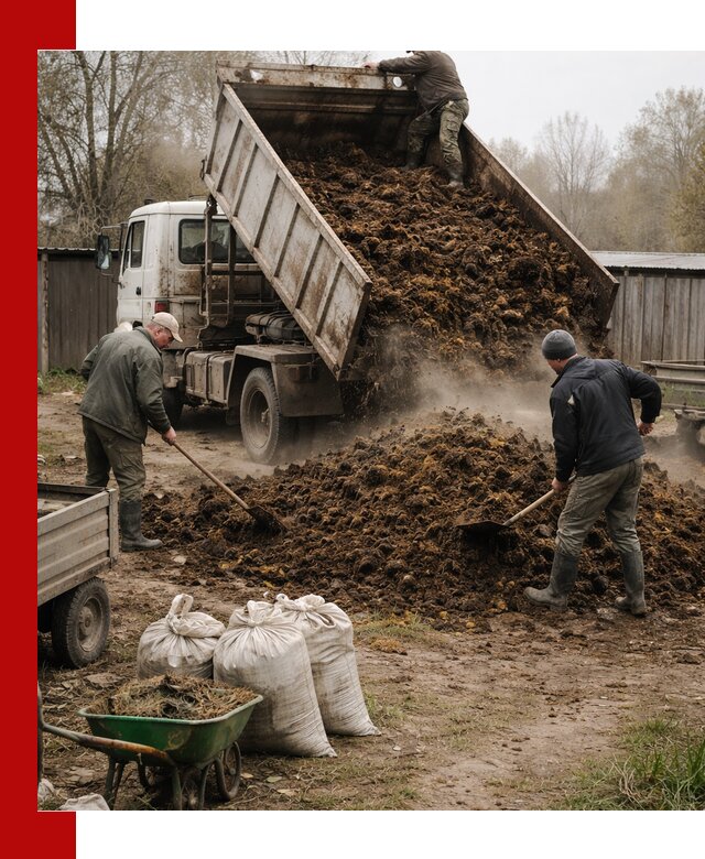Доставка коровьего навоза самосвалом в Партизанске